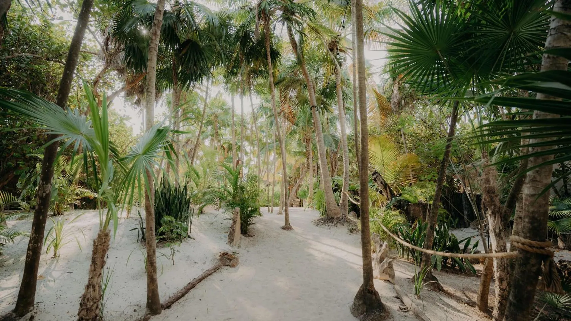Premium Apartment With Terrace & Pool In Aldea Zama Tulum